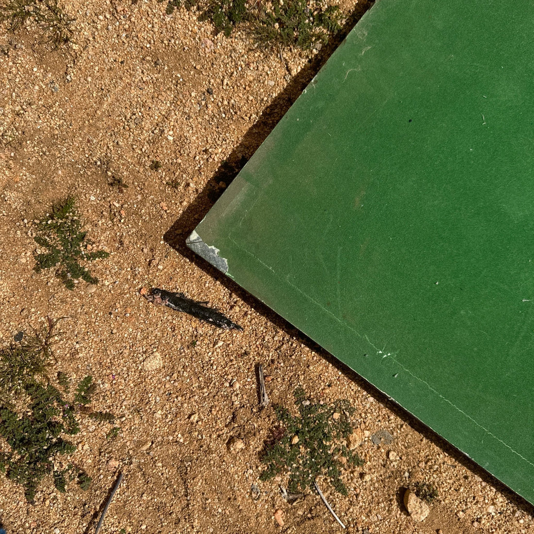 Dark Green & White Checkerboard Stone Decor - Monte Visión