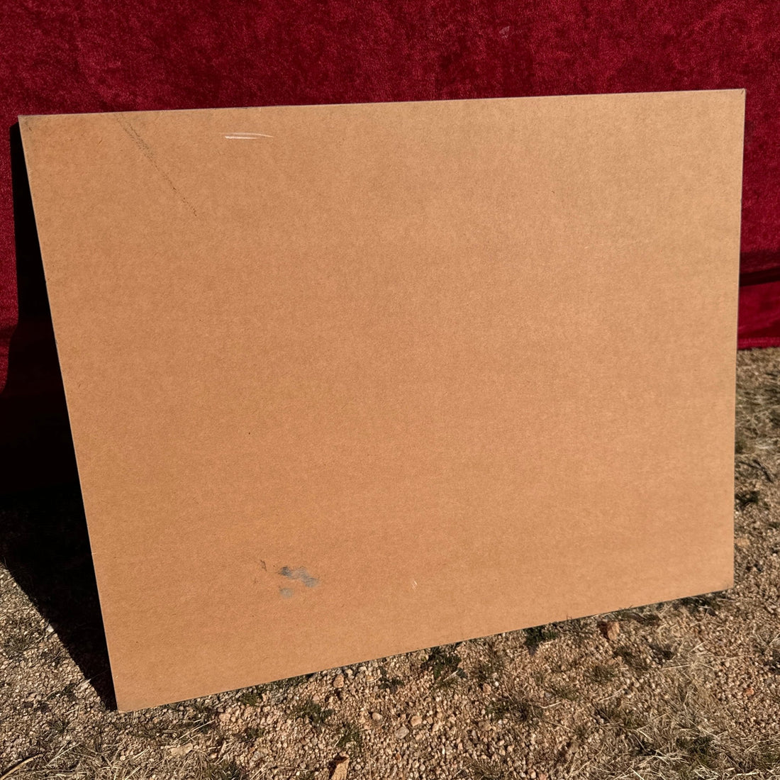 Vintage 3D Photo-Finish Mounted Graphic Art - Monte Visión