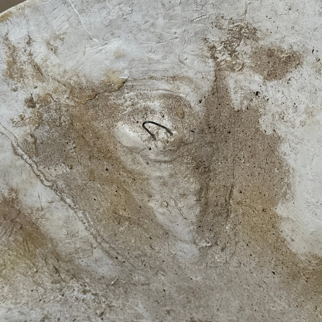 Vintage Oversized Scalloped Plaster Wall Art - Monte Visión