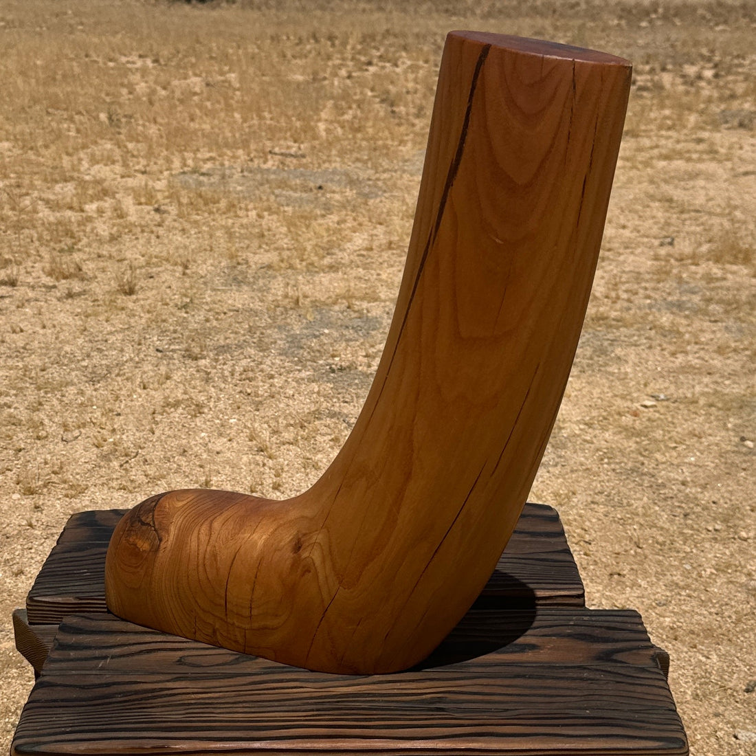 Artist-Made Oversized Carved Wood Sculptural Foot & Leg or Boot - Monte Visión