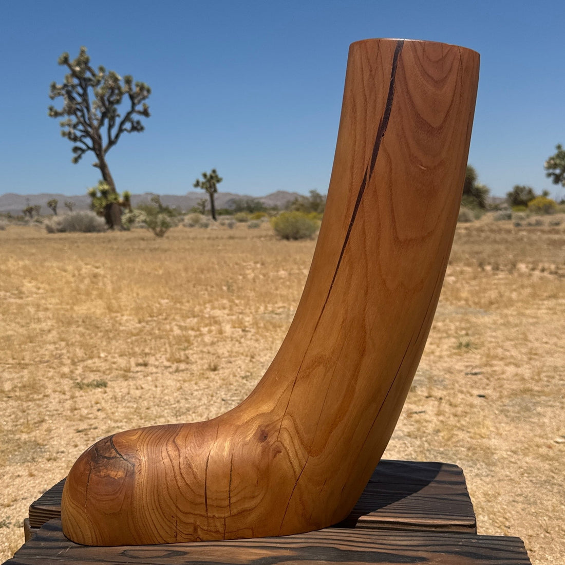 Artist-Made Oversized Carved Wood Sculptural Foot & Leg or Boot - Monte Visión