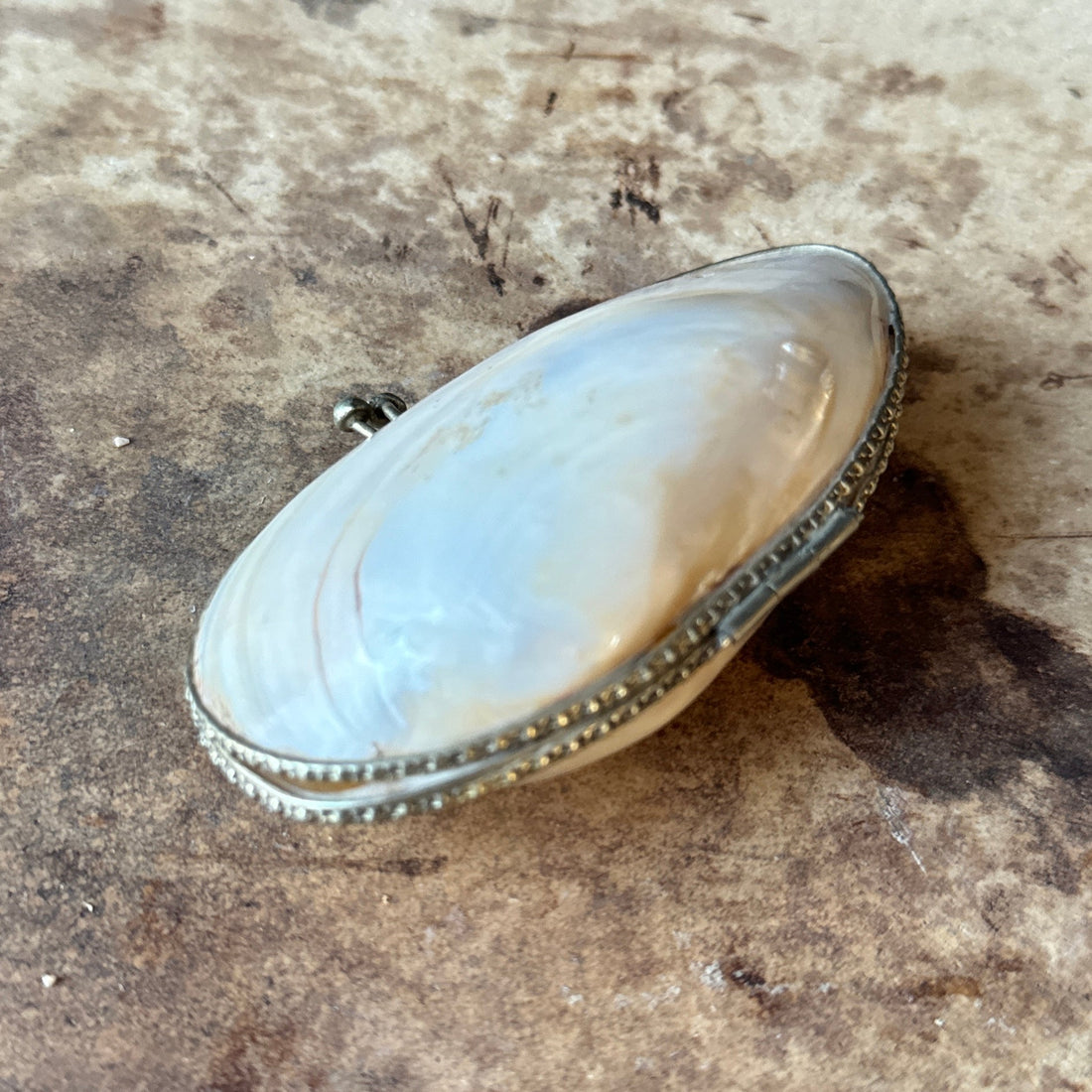 Antique Mother-Of-Pearl Mussel Keepsake Box - Monte Visión