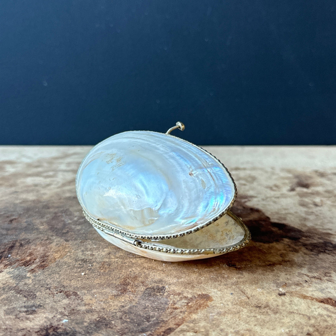 Antique Mother-Of-Pearl Mussel Keepsake Box - Monte Visión