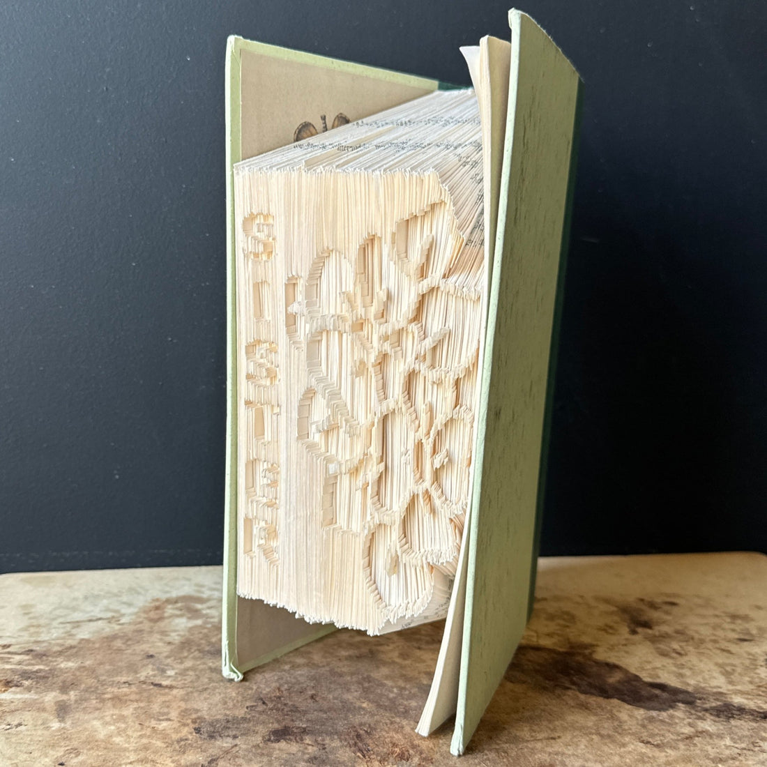 Folk Art "Folded Page Art" Sister Book - Monte Visión