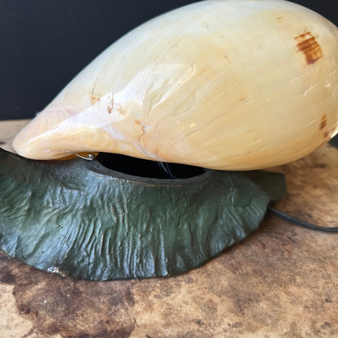 Vintage Solid Bronze Snail & Seashell Table Lamp - Monte Visión